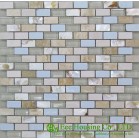 Shell Series Mosaic Tile-1